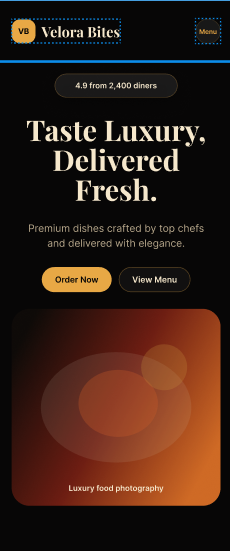 Velora Mobile Experience